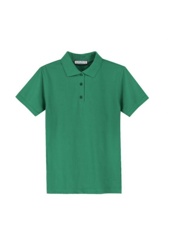 Polera Pique Hombre M/C 280G - Imagen 5