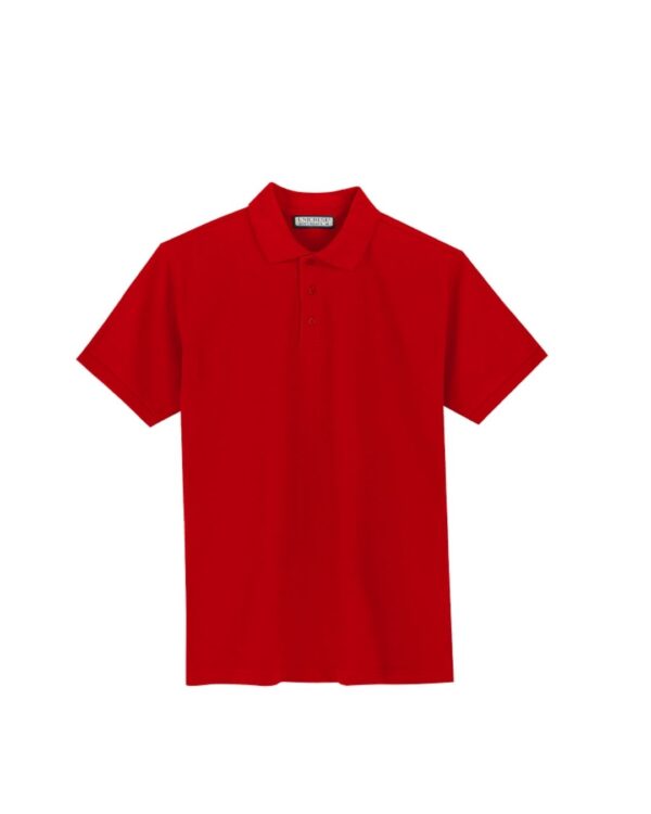 Polera Pique Hombre M/C 240G - Imagen 6