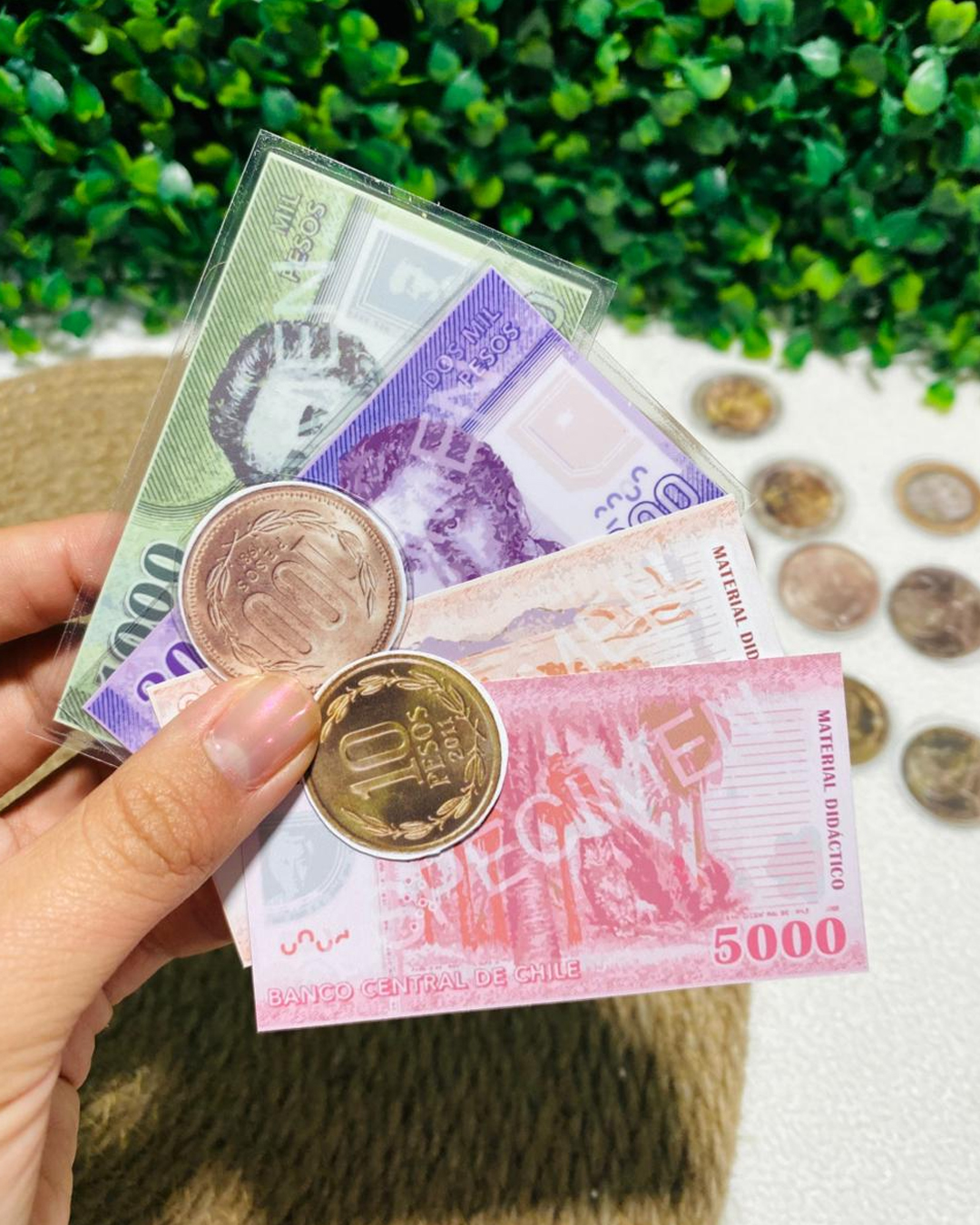 Billetes y Monedas Didácticas - Imagen 2